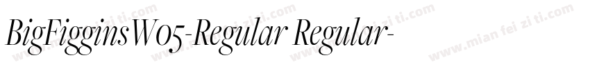 BigFigginsW05-Regular Regular字体转换